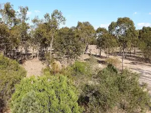 Lake Broadwater Conservation Park