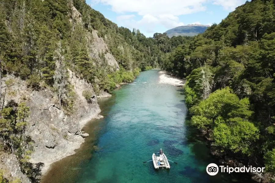 Trout Bariloche