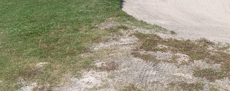 The Groves Golf Course