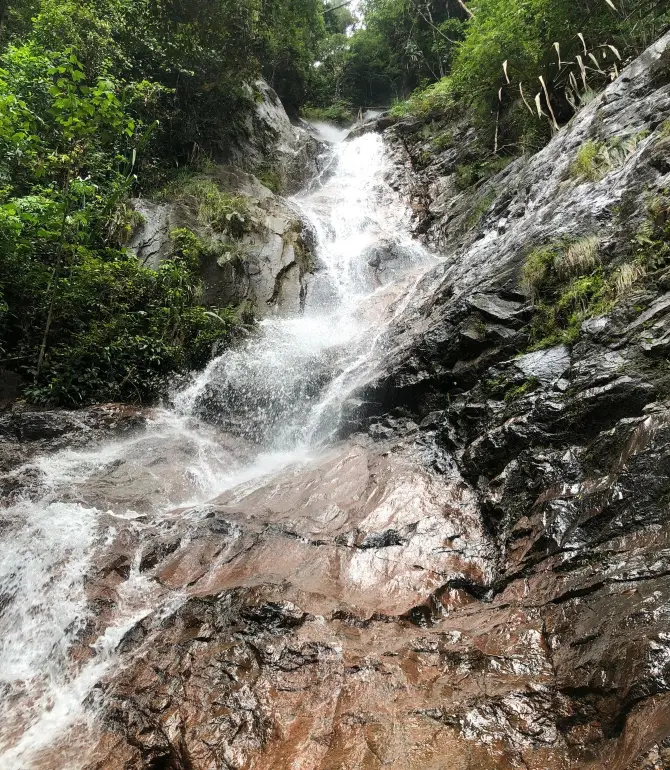 Ulu Sungai Johor