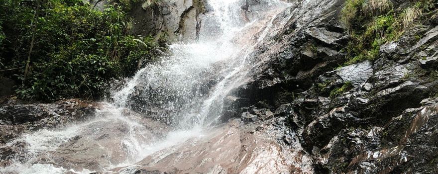 Ulu Sungai Johor