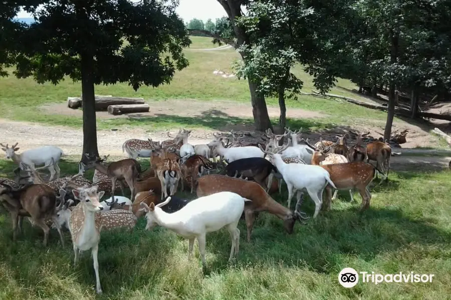 Lake Tobias Wildlife Park