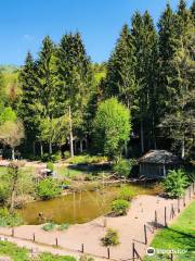 Parque de Aves de Steinen