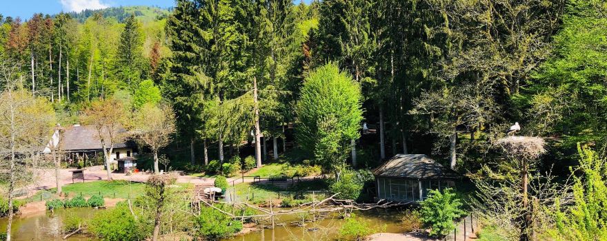 Vogelpark Steinen