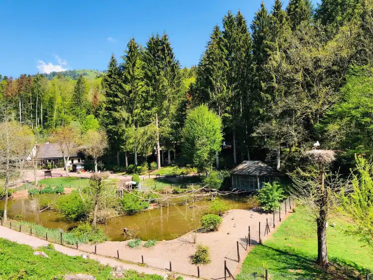 Hotels in Steinen