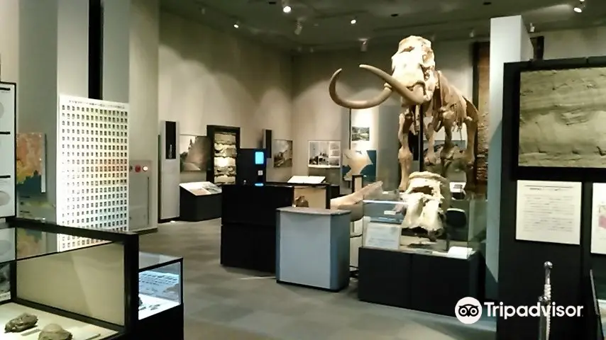 Natural History Museum and Institute, Chiba