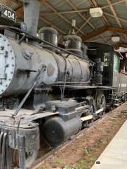 Texas Forestry Museum