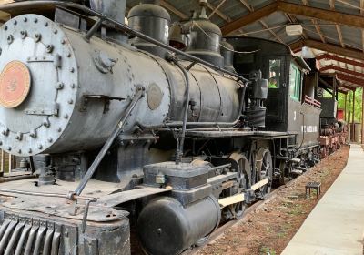 Texas Forestry Museum