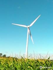 Bowling Green Wind Farm