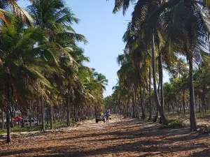 Pontal de Maracaipe