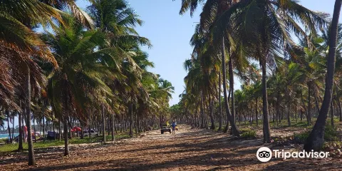 Pontal de Maracaipe