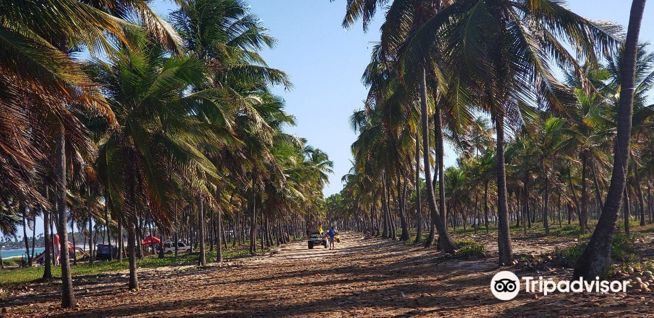 Pontal de Maracaipe