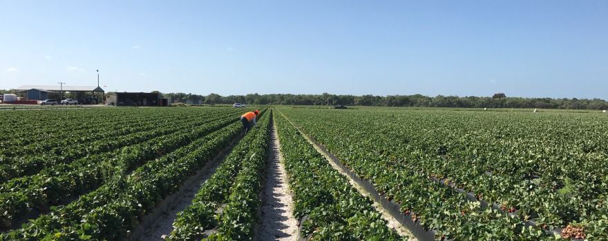 Berry Bay Farms Inc