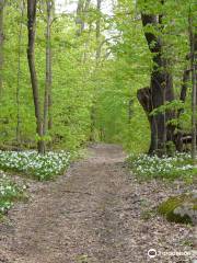 Long Sault Conservation Area