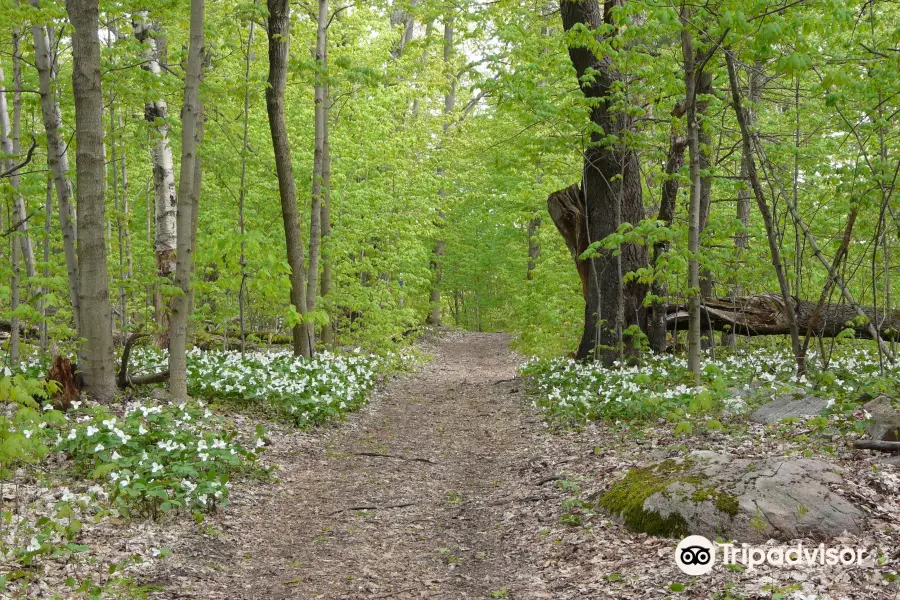 Long Sault Conservation Area