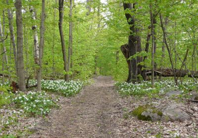 Long Sault Conservation Area