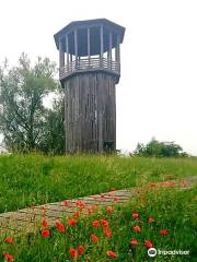 Walkway and Tower