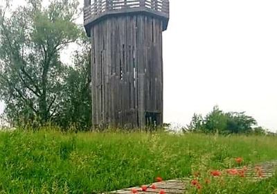 Walkway and Tower