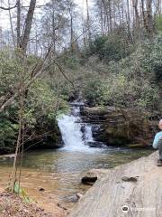 US Forest Service, Sumter National Forest, Andrew Pickens Ranger District