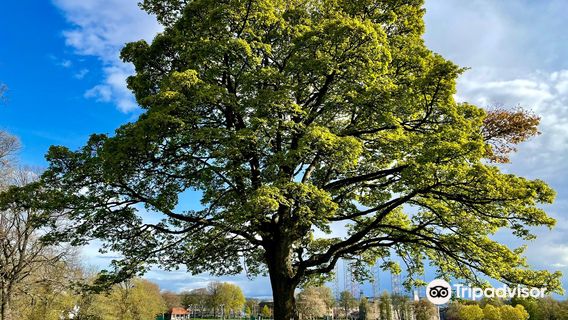 Парк Бакстер