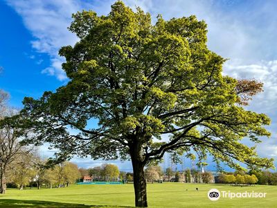 Baxter Park