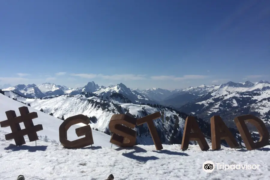 Via Alpina: Gstaad-L'Etivaz