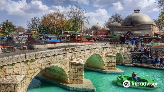 KONYA MERAM BAĞLARI