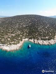 The Aegean Pro Dive Centre