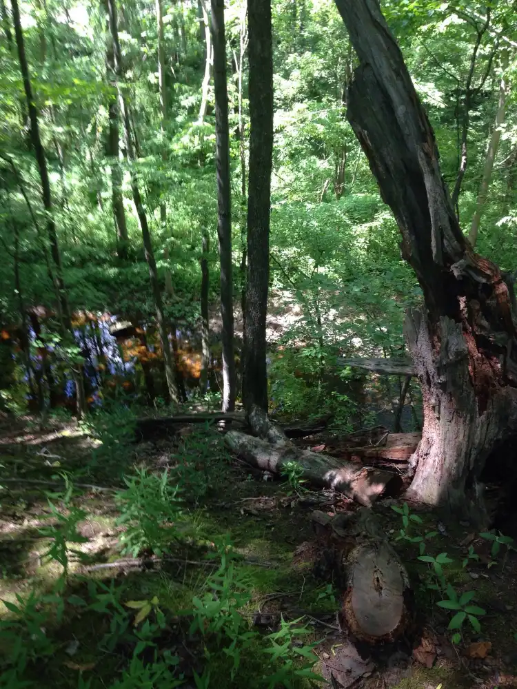 فنادق في سويدن