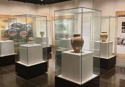 Yanggu Prehistory Museum