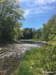 parc provincial Salt Springs