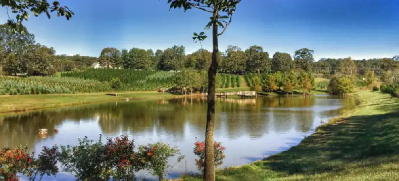 Hotels in Forsyth County