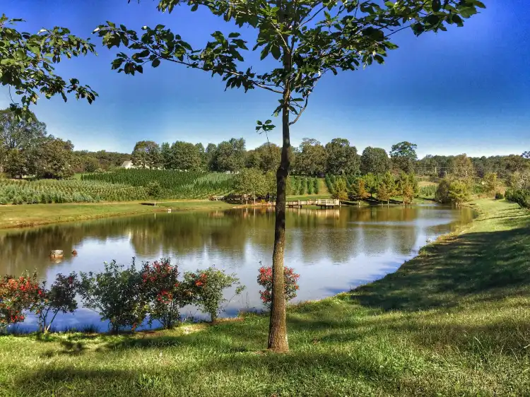 Hotels in Forsyth County