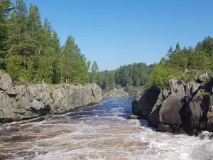 Воицкий падун