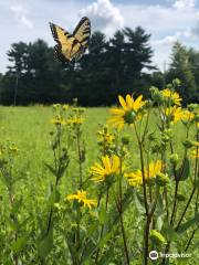 Frohring Meadows