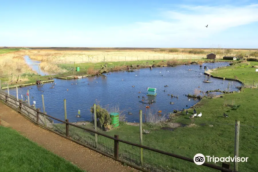 The Blakeney Conservation Duck Pond
