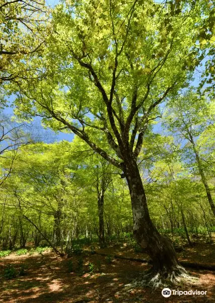 Nishiusuzuka Walking Trail