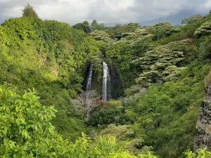 Ho'opi'i Falls