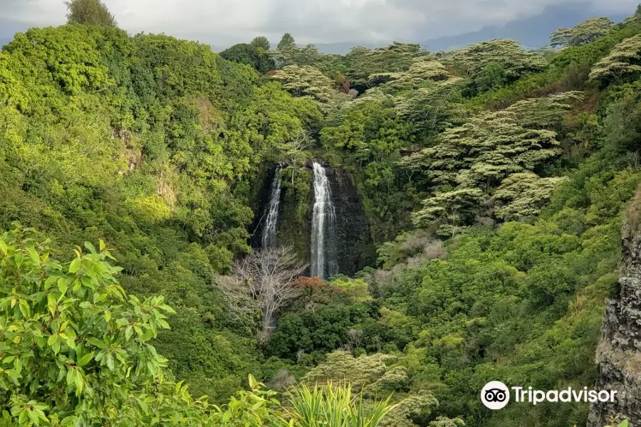 Ho'opi'i Falls