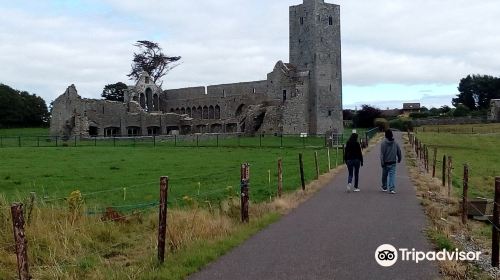 Ardfert Friary