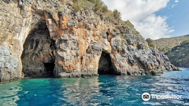 Cooperativa Cilento Mare