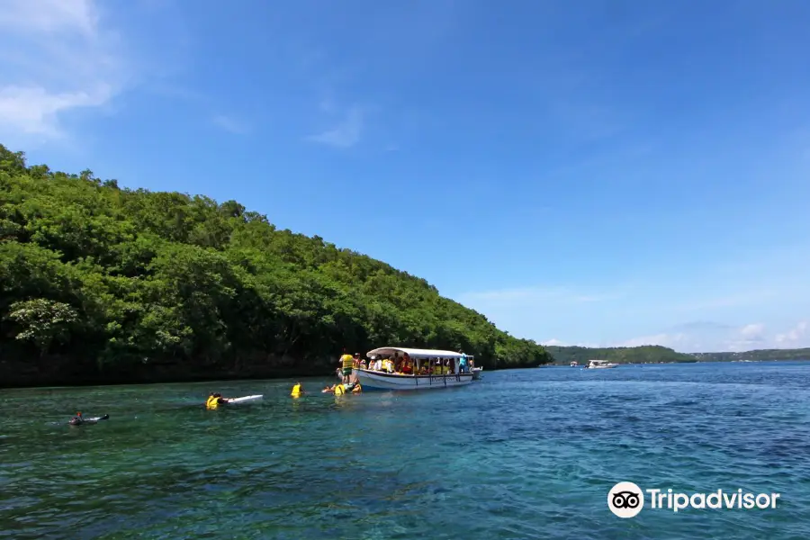 Mangrove Stop Lembongan