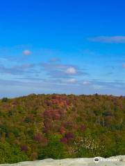 Cherohala Skyway