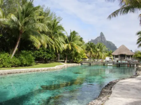 Bora Bora Turtle Centre