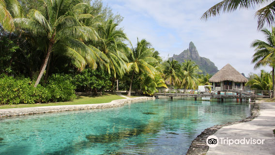 Bora Bora Turtle Centre