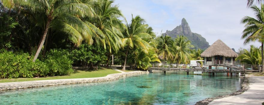 Bora Bora Turtle Centre