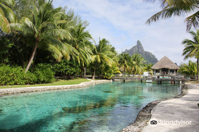 Bora Bora Turtle Centre