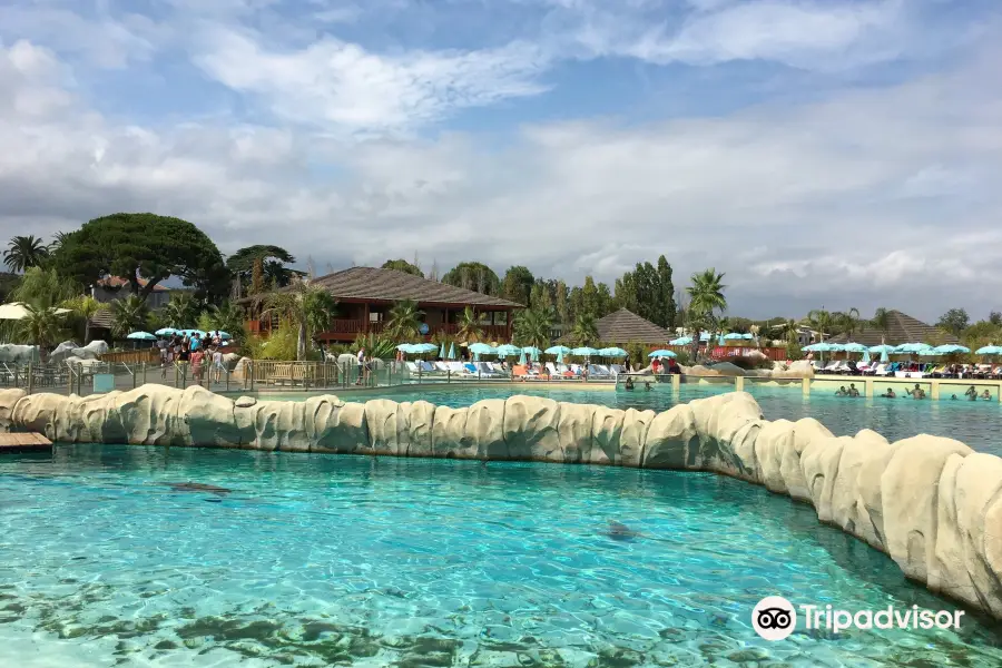 Marineland Lagoon