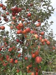 Pyeongwang Wanggun Apple Village