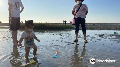 大安浜海楽園